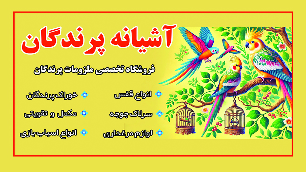 آشیانه پرندگان