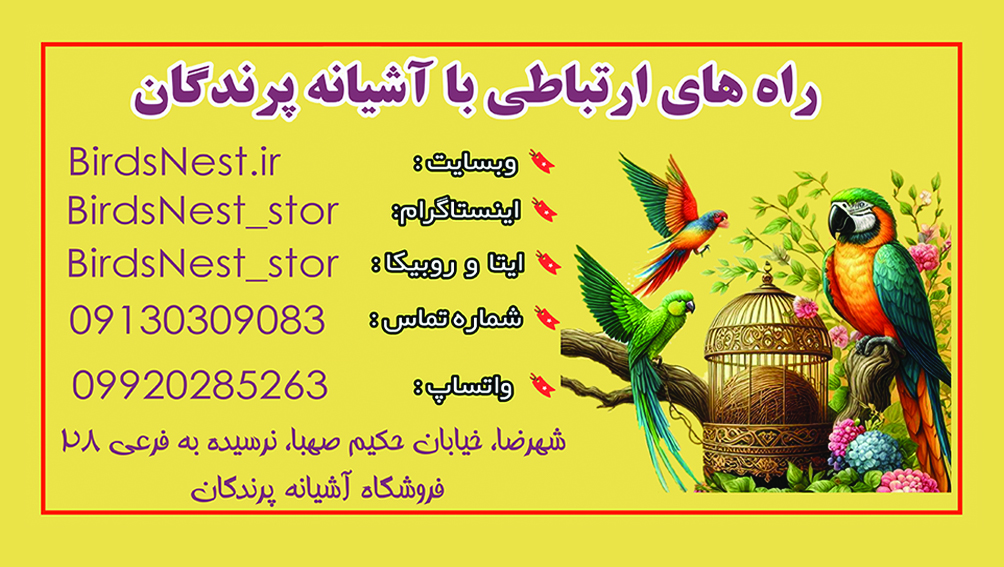 آشیانه پرندگان